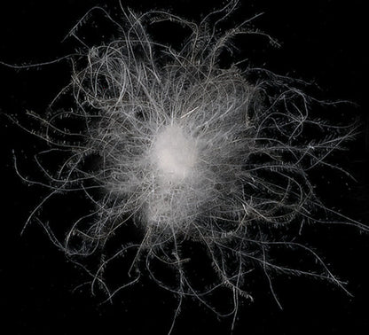 Men's Thickened Hooded Down Jacket