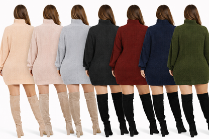 Turtleneck Knit Sweater Dress